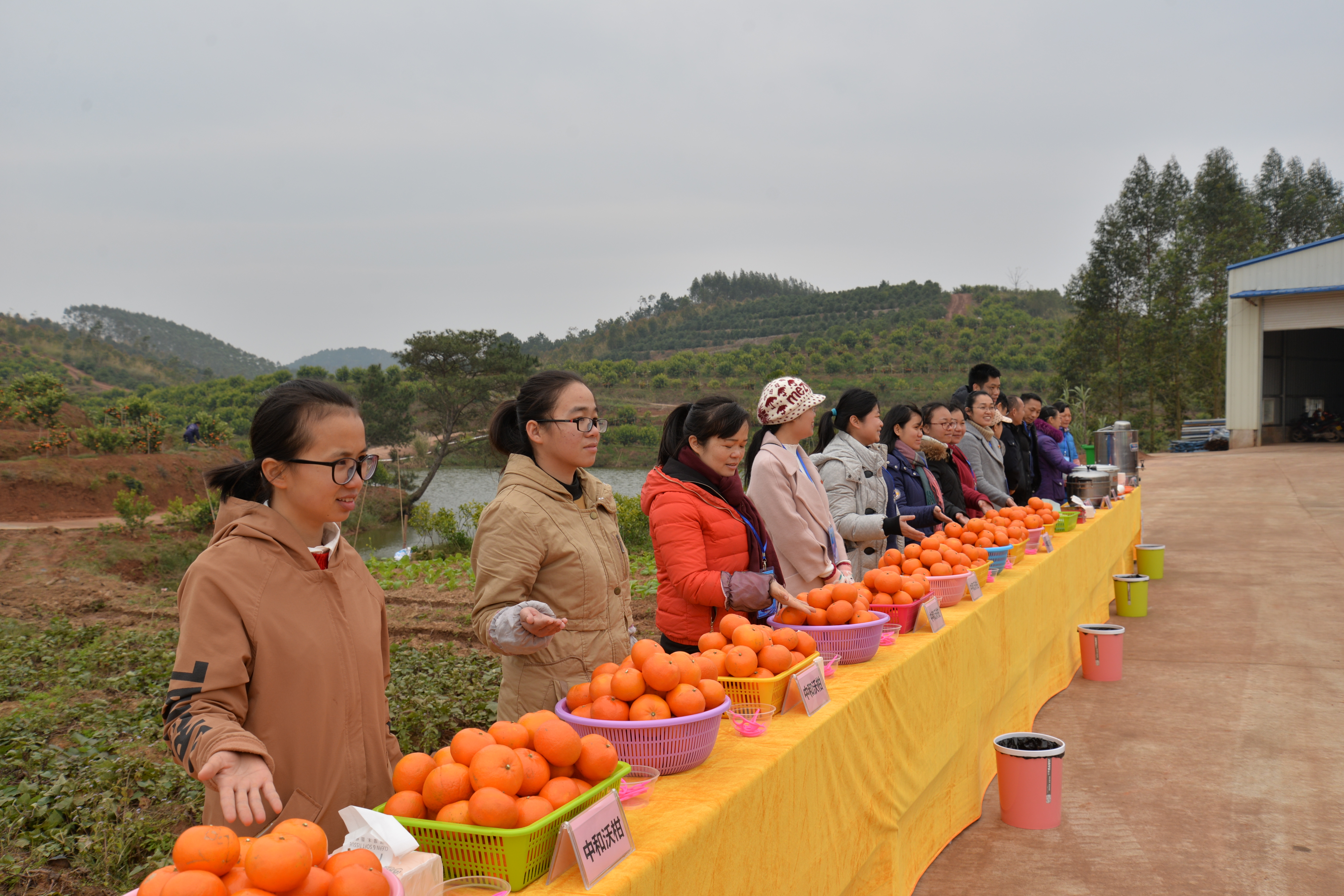 企业风采