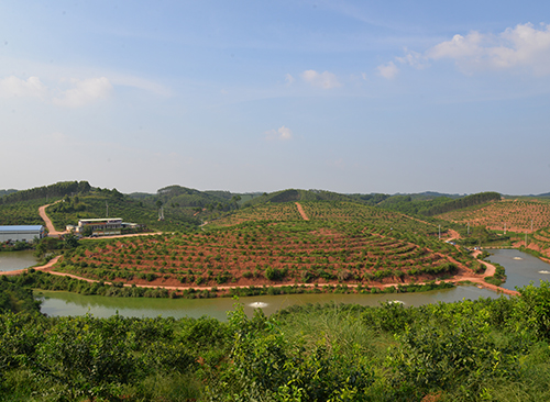 基地环境