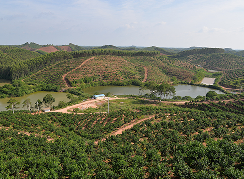 基地环境