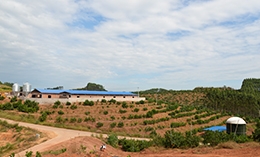 公司探索构建基地猪沼果生态循环体系